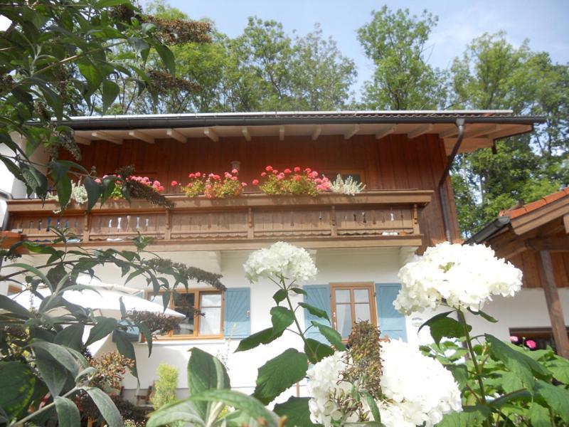 Riepertinger Apartment